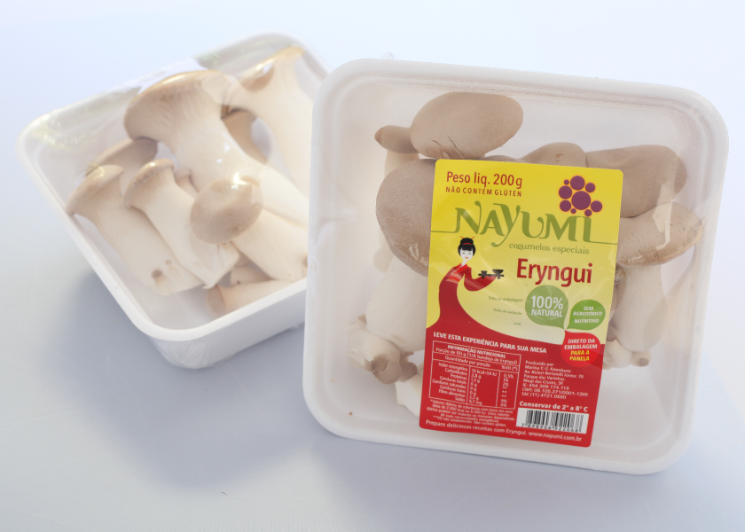 cogumelo-eryngui