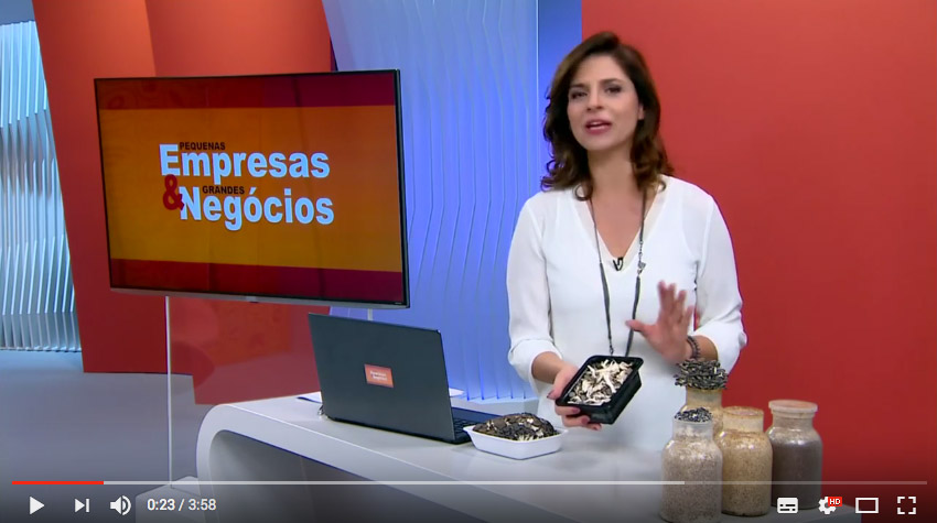 shimeji_micro_ondas_pequenas_empresas_grandes_negocios_nayumi_cogumelos