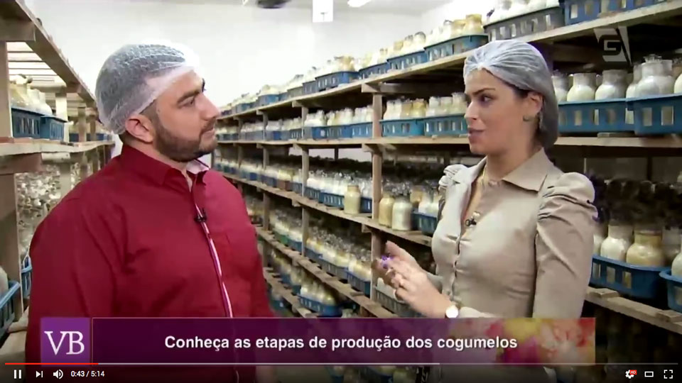 programa_voce_bonita_tv_gazeta_nayumi_cogumelos