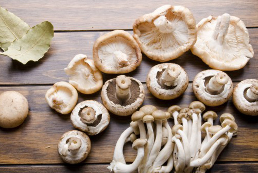 cogumelos_dieta_vegana_vegetariana_nayumi
